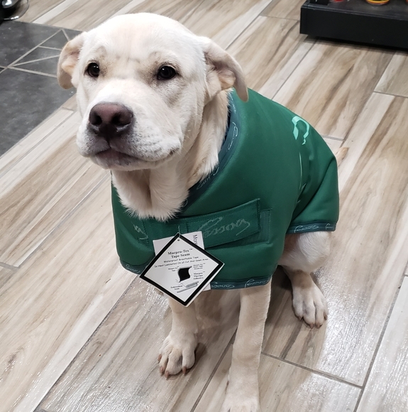 NWT XXL Green Pessoa Dog Coat Jacket - Picture 7 of 9